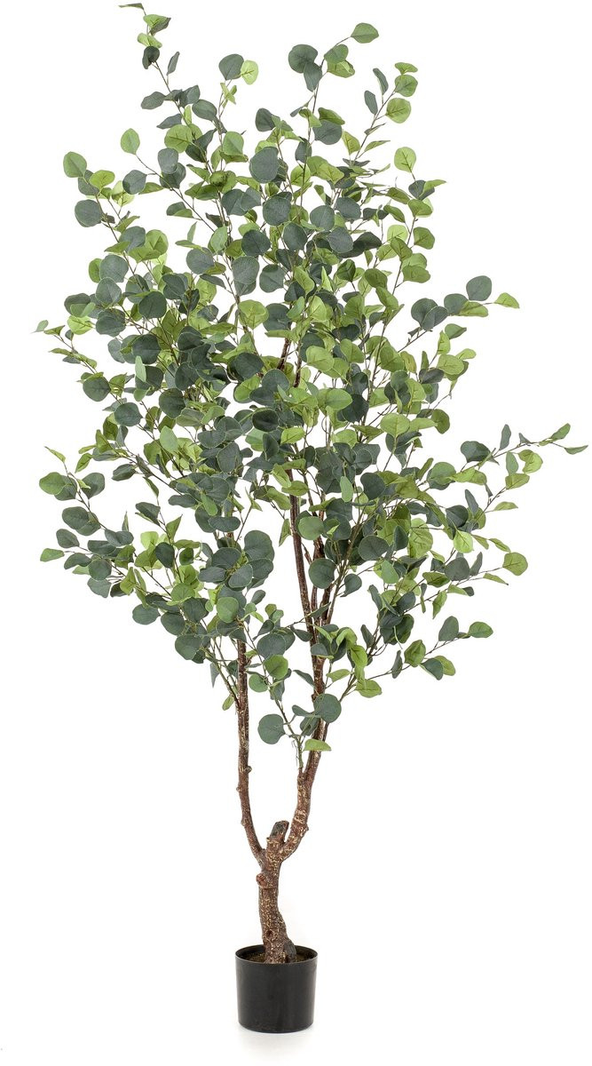 Emerald Kunstboom Eucalyptus 180cm - Kunstplant voor binnen