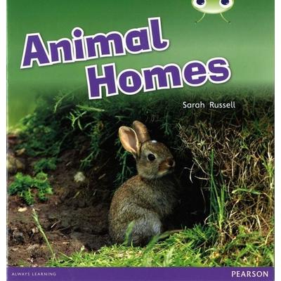 Bug Club Guided Non Fiction Reception Pink B Animal Homes, Taschenbuch von Sarah Russell, Pearson ELT, 978-0-435-16783-7
