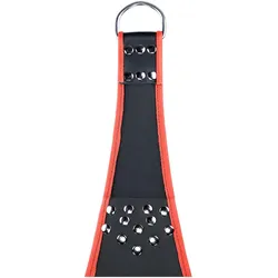 Mr. Sling, Sexmöbel, Leather sling with Red piping - 5 points - Black