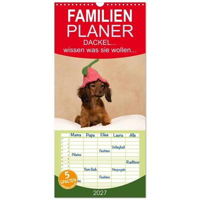 Familienplaner 2027 - DACKEL... wissen was sie wollen... (und was nicht...) mit 5 Spalten (Wandkalender, 21 x 45 cm) CALVENDO