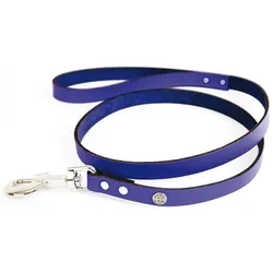 Martin Sellier Klassische Hundeleine aus Leder (Hund, Spazieren), Halsband + Leine