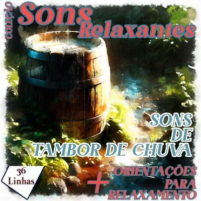 Coleção Sons Relaxantes - sons de tambor de chuva - Silvia Strufaldi, Audio, 9798868756955
