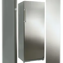 NORDCAP COOL-LINE Tiefkühl-Lagerschrank F 27 INOX FRONT, 248 Liter, grau