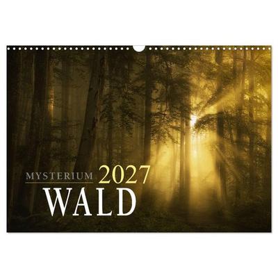Mysterium Wald (Wandkalender 2027 DIN A3 quer), CALVENDO Monatskalender