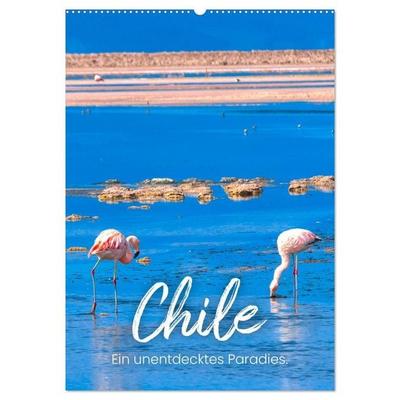 Chile - Ein unentdecktes Paradies. (Wandkalender 2027 DIN A2 hoch), CALVENDO Monatskalender