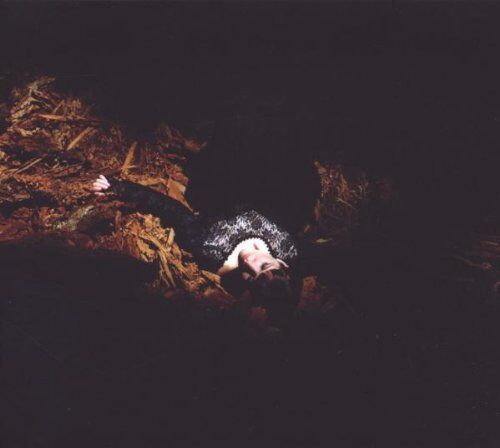 Emily Jane White - Victorian America - Preis vom 05.10.2026 03:47:11 h