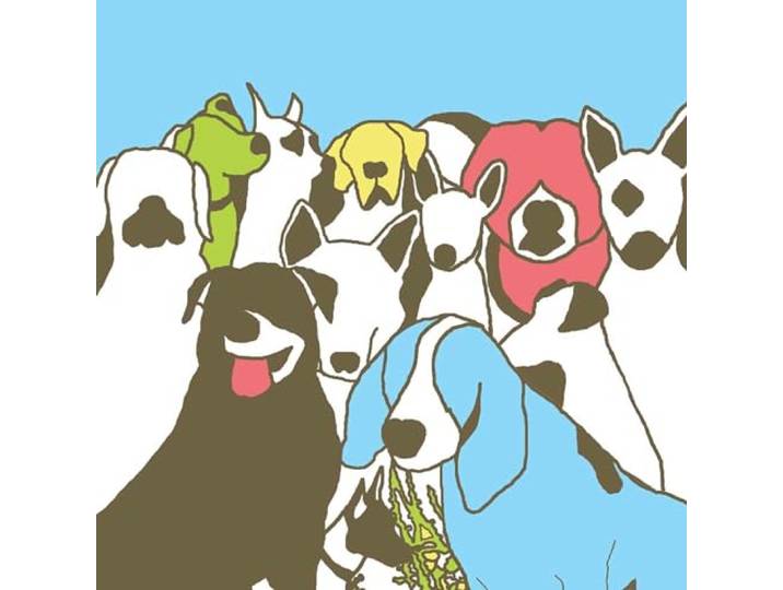 Format - Dog Problems