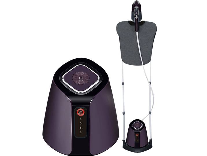 Dampfglätter mit flexibler Bügelstation 2500 W
