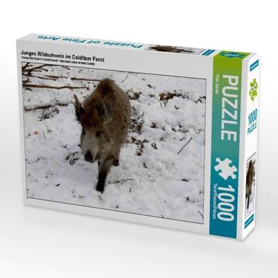 CALVENDO Puzzle Junges Wildschwein im Colditzer Forst | 1000 Teile Lege-Größe 64x48cm Foto-Puzzle für glückliche Stunden