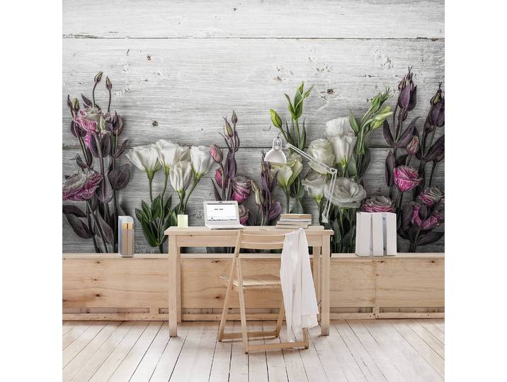 Vliestapete Tulpen-Rose Shabby 384 x 255cm 384 x 255 cm