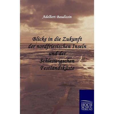 Blicke in die Zukunft der nordfriesischen Inseln und der Schleswigschen Festlandsküste, Taschenbuch von Adelbert Baudissin, EHV Academicpress,
