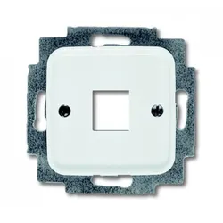 Busch-Jaeger 2561-214 Zentralscheibe Modular Jack