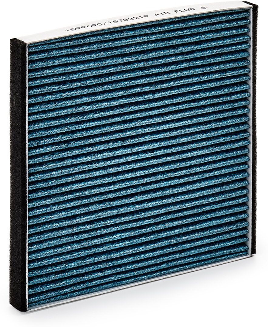 RIDEX 424I0531 Pollen filter