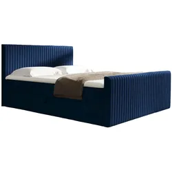 BOXBETT Adrien In Fresh