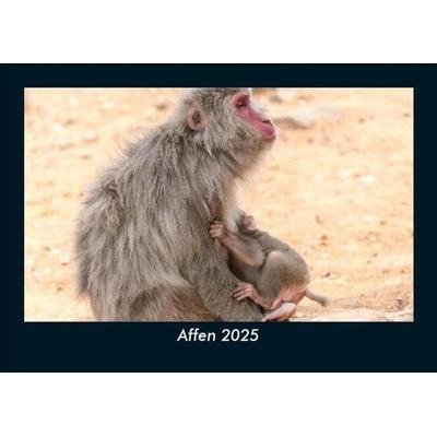 Affen 2025 Fotokalender DIN A5