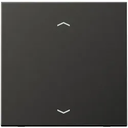 Jung Wippe Symbole anth AL 2990 P AN