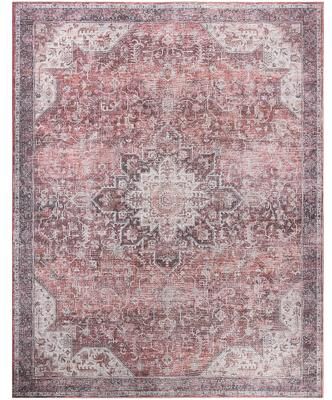 Nourison Washables Indoor only Persian Area Rug