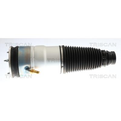 TRISCAN Luftfeder, Fahrwerk 872081106 für Tesla