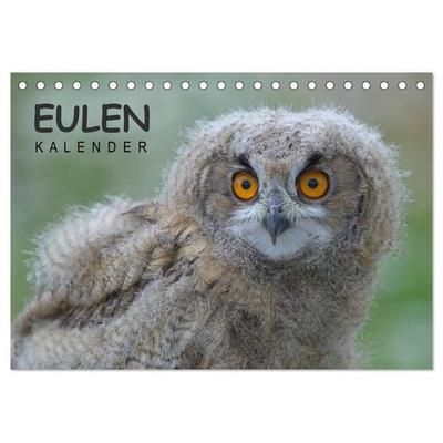 Eulen-Kalender (Tischkalender 2027 DIN A5 quer), CALVENDO Monatskalender