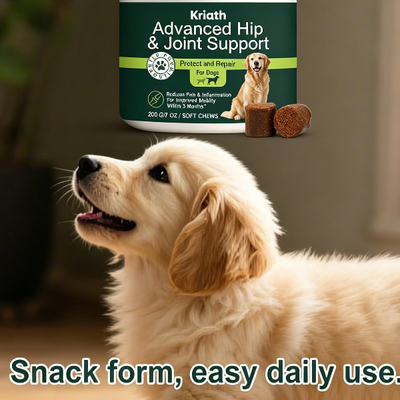 Happy Pet Pantry Advanced Dog Joint Chews For Hip & Joint Support Mobility And Cartilage Care Advanced Dog Joint Chews For Hip & Joint Support Mobility And Cartilage Care