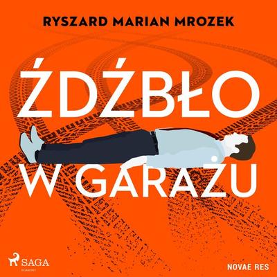 Źdźbło w garażu - Ryszard Marian Mrozek, Audio, 9788727041254