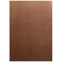 CarpetSale24 Teppich Wohnzimmer Einfarbig Braun 120x170 cm - Waschbar Rutschfest Kurzflor Extra Weich für Wohnzimmer Schlafzimmer Jugendzimmer