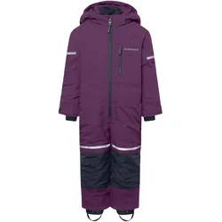 Didriksons, Unisex, Skijacke, Falken 2 (110), Violett