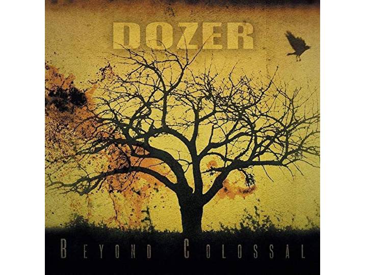 Beyond Colossal (Yellow/Black)