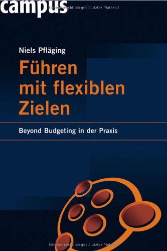 Niels Pfläging - Führen mit flexiblen Zielen: Beyond Budgeting in der Praxis - Preis vom 15.10.2026 23:06:25 h
