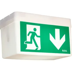 BEG Brück Electronic Rettungszeichenleuchte 3h BD21/Kombi-GL