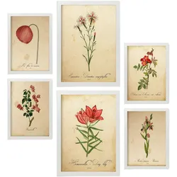 POSTER Set Mit 6 Rote Blumen Vollfarbige Natur Und Botanikdrucke Mit Blumenmotiven Im Vintage Papier Stil Innenarchitektur A3 & A4 Weißer Rahmen