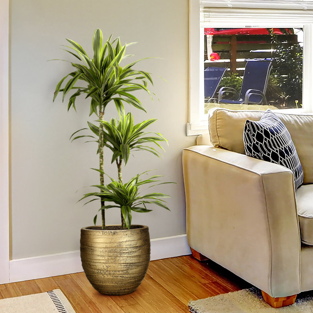 Idealist Gold Ribbed Stone Indoor Plant Pot Handmade Pot Planter Gold 31cm H x 37cm W x 37cm D
