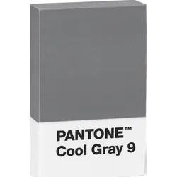 Pantone Radiergummi grau
