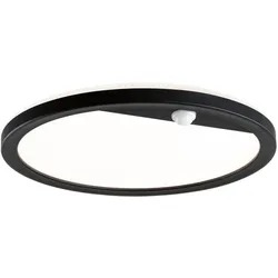 Paulmann 94708 LED Außenpanel Lamina Backlight Bewegungsmelder (IR) insektenfreundlich IP44