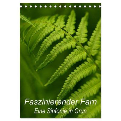 Faszinierender Farn - Eine Sinfonie in Grün (Tischkalender 2026 DIN A5 hoch), CALVENDO Monatskalender