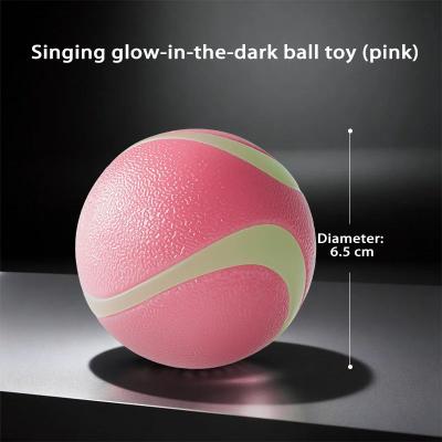 Inspire Select HOOPET Glow Rubber Dog Fetch Ball Durable Interactive Chew & Training Toy For Active Dogs pink