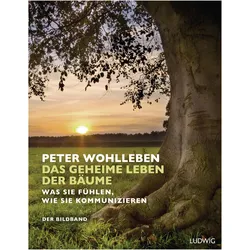 Das geheime Leben der Bäume, Reisebücher von Peter Wohlleben