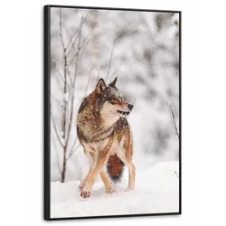 LEINWAND Bilder mit Rahmen - Wolf - Winter - Schnee - Natur - Tiere - 60x90