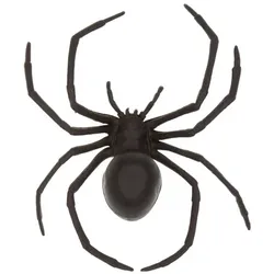 Spinne, schwarz