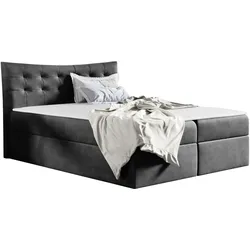 BOXBETT Havana - H3