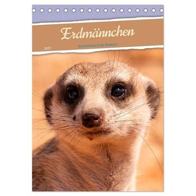 Erdmännchen - Eine Kolonie in der Kalahari (Tischkalender 2027 DIN A5 hoch), CALVENDO Monatskalender