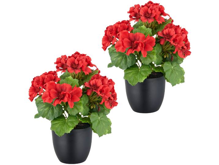 Kunstpflanze CREATIV GREEN Geranie , rot, H:26cm, Kunststoff, Kunstpflanzen, Kunstpflanze, in UV-beständiger Ausführung