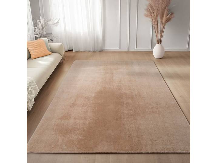 Carpettex Tapis Beige 160x220 cm  Lavable Tapis à Poils Courts Doucement Antidérapant pour Chambre Salon