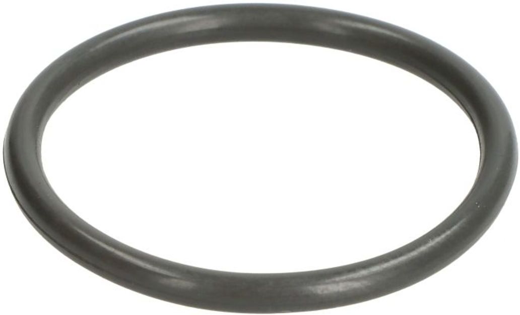 Bremsbacke O-Ring BPW 02.5677.86.40