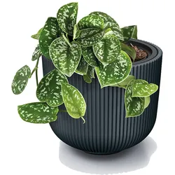Prosperplast Blumentopf Übertopf Milly herausnehmbar Pflanzeinsatz Pflanzgefäß