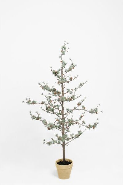 No-Name Lærketræ H135 Cm