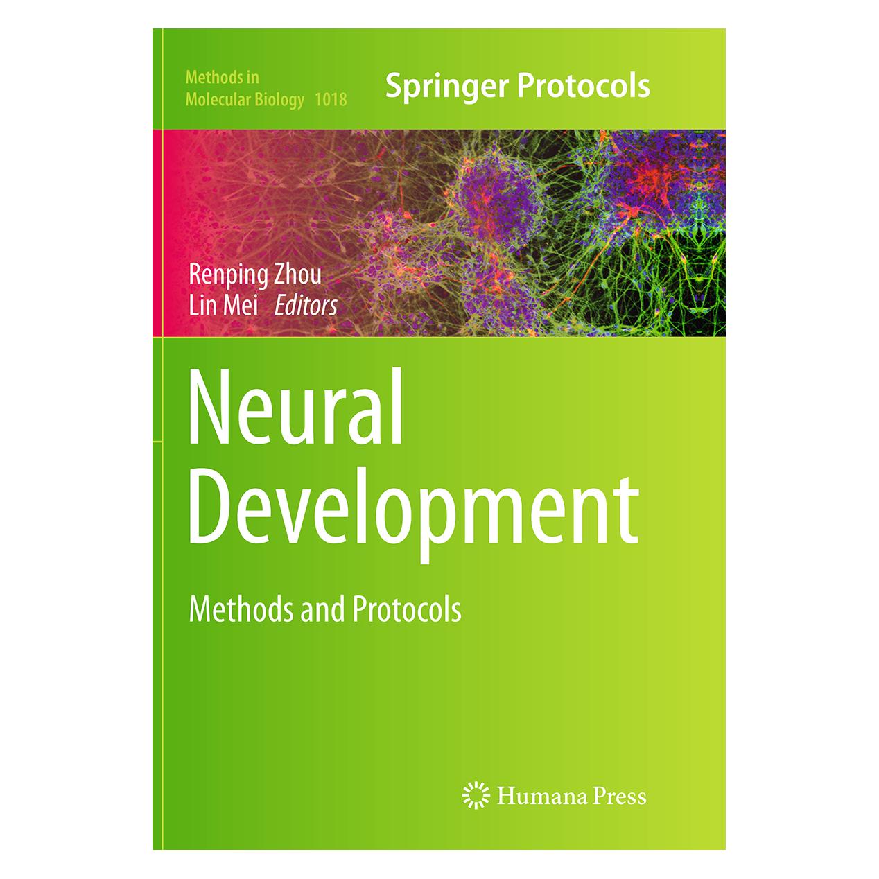 Springer Neural Development (Englisch, Softcover, Lin Mei, Renping Zhou) (55833769)