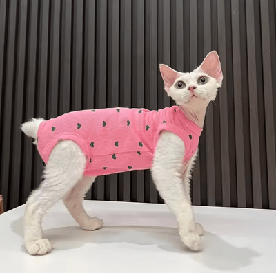 Inspire Curations LoveCloud Lightweight Sphynx Cat Pajamas pink xl