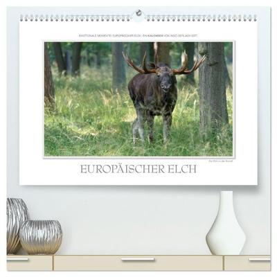 Emotionale Momente: Europäischer Elch. / CH-Version (hochwertiger Premium Wandkalender 2027 DIN A2 quer), Kunstdruck in Hochglanz