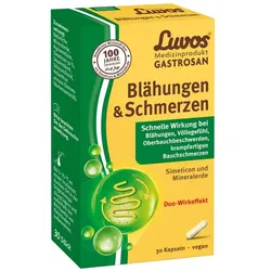 LUVOS GASTROSAN Blähungen & Schmerzen 30 St Kapseln